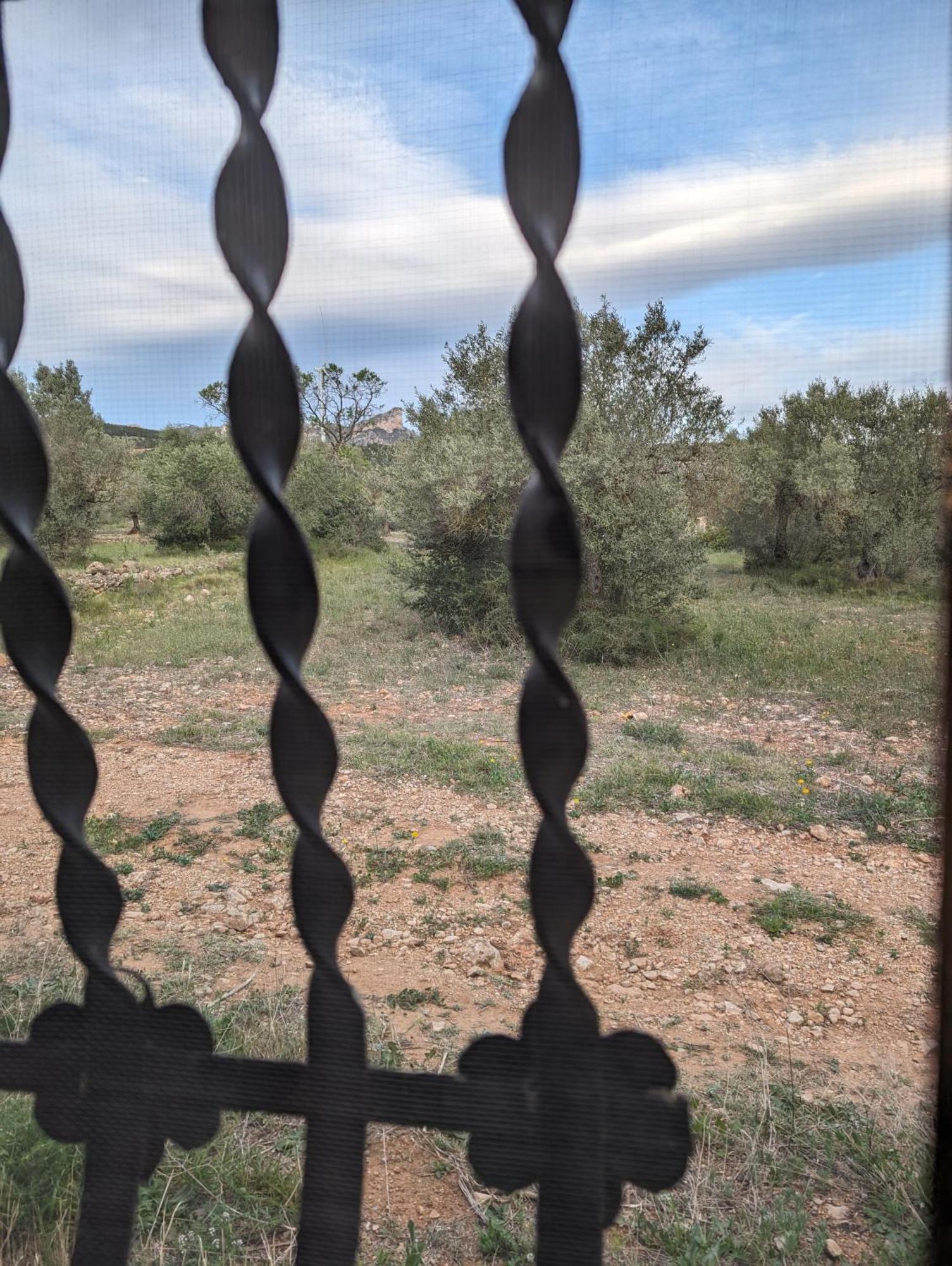 Casa Burga Dom wakacyjny El Perelló